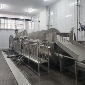 500BPH - 1000BPH Automatic Slaughtering Machine Poultry Chicken Butchering