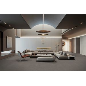 Gray Grade AAA Matt Porcelain Tiles 60x120cm Indoor Floor For Living Room