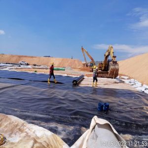 HDPE Geomembrane for Fish Prawn Farm and Dam Protection Geosynthetics at