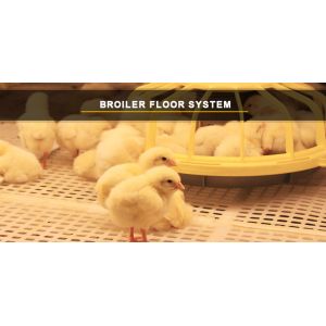 220v Electricity Hen Farm House Broiler Poultry Equipment