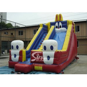 6.0 Mts High Big Rabbit Inflatable Slide For Kids N Adults Outdoor Fun