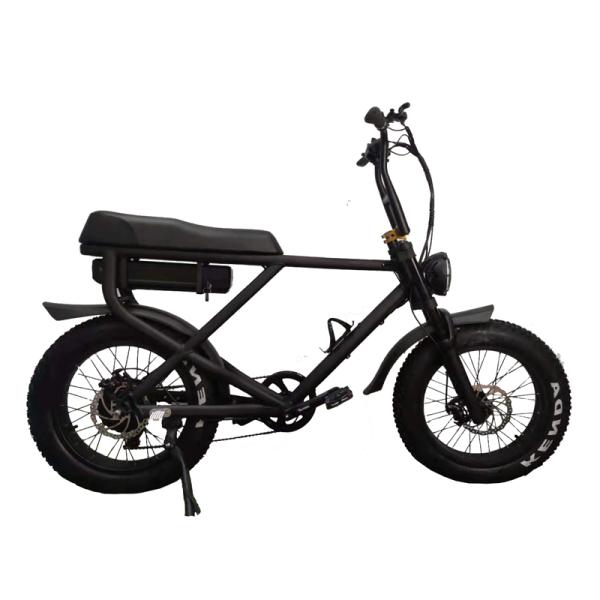 Removable Battery Full Suspension 1000W Electric Fat Bike with Lithium Power Supply