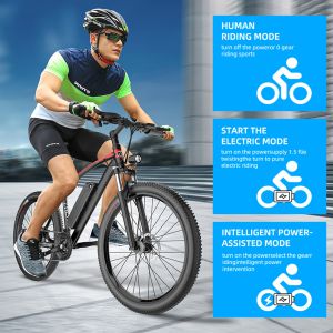 48T Alu Lightweight Electric Hybrid Bike Dualwalled Rims 1000W