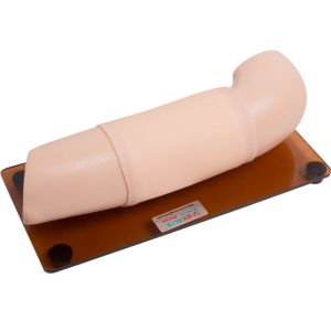 Quality PVC Subcutaneous Embedded Contraception Arm Simulator OEM for sale