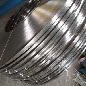 Highly Accurate Stainless Steel Metal Strip With Thickness 0.1-3mm
