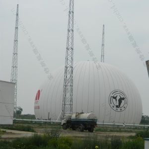 Sphere Air Supported Structure Biogas Holder with Double Membrane