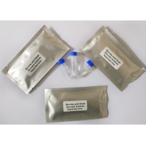 Brucella Antibody Veterinary Test Kits Gold Colloidal Quick Detection For Cattle