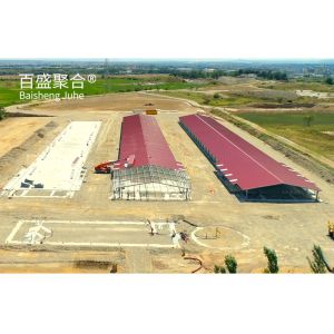 Large Capacity Prefabricated Broiler Poultry Farm Building with Sandwich Panel Roofing