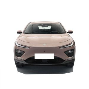 2023 NETA X Fashion Electric Car Ev Fast Charging Time of 0.5H with Lithium Iron