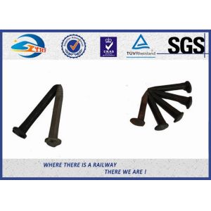 ZhongYue Railway Coach Spikes Special Screw Spikes Fasteners