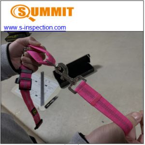 Martingale Dog Collar Leash Set Pre Shipment Inspection Services