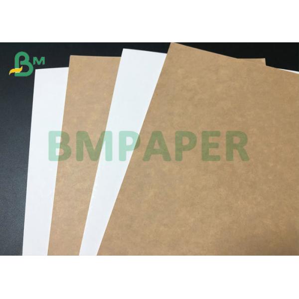 Buy 780mm 350gsm Clay Coated White Kraft Back Board For Bread Packing Box at wholesale prices