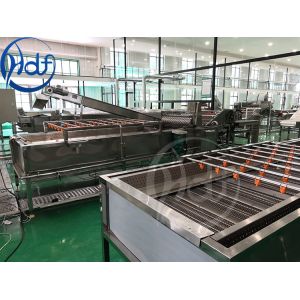 Vegetable Fruit Washing Machine Salad Washing Machine Bubble Washer