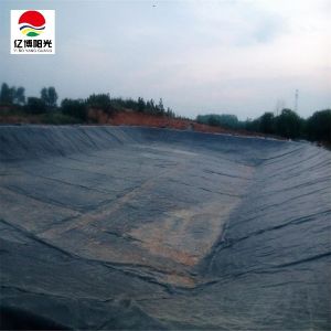 HDPE LDPE LLDPE Liners for Aquaculture Pond Swimming Pool Reservoir Dam Landfill