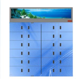 Quality Winnsen Vegetable Refrigerated Locker Smart Electronic Goods Locker for sale