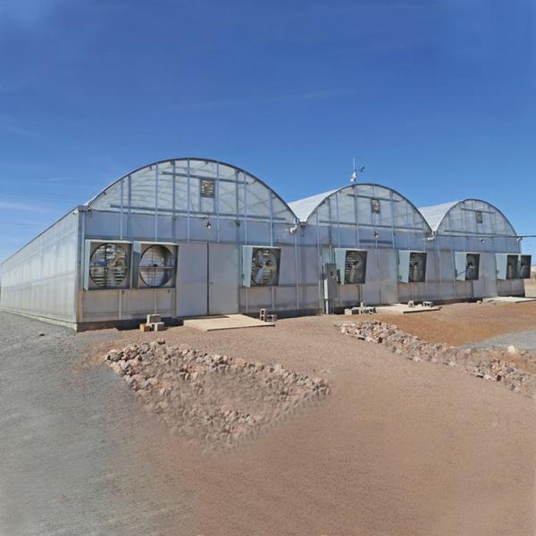 Agricultural Polycarbonate Sheet Greenhouse Turnkey Project Serre Agricole