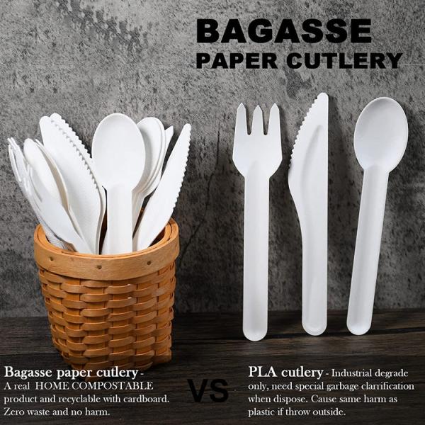 Buy Compostable Disposable Bagasse Paper Party Cutlery Set at wholesale prices