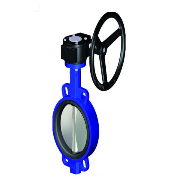 Buy DN10mm DN25mm Manual Butterfly Valve , Stainless Steel Butterfly Valve at wholesale prices