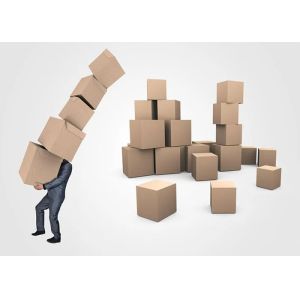 Daily International Express Courier Service Shipping Agent