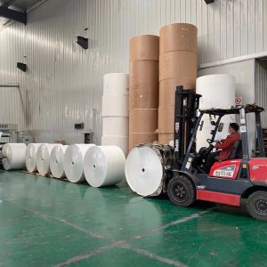 160Gram Paper Cup Raw Material Flexographic PE Paper Roll