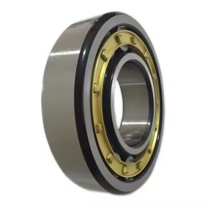 NH2211 Cylindrical Roller Bearing NU2211 NUP2211 ECP NH2211 Bearing