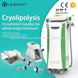 Best cellulite removal machine for weight loss cryolip,5 in one multifunctional