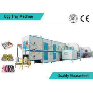 Biodegradable Recycled Paper Egg Tray Machine with 3000Pcs / H Capacity