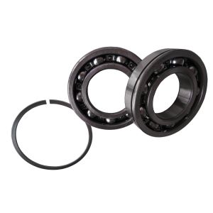Loader Accessories Transmission Deep Groove Ball Bearing 0750116259 Ball Bearing