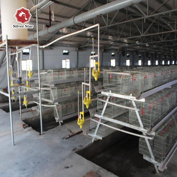 Buy Galvanized Baby Chick Wire Bird Breeding Cages Automatic Farming at wholesale prices