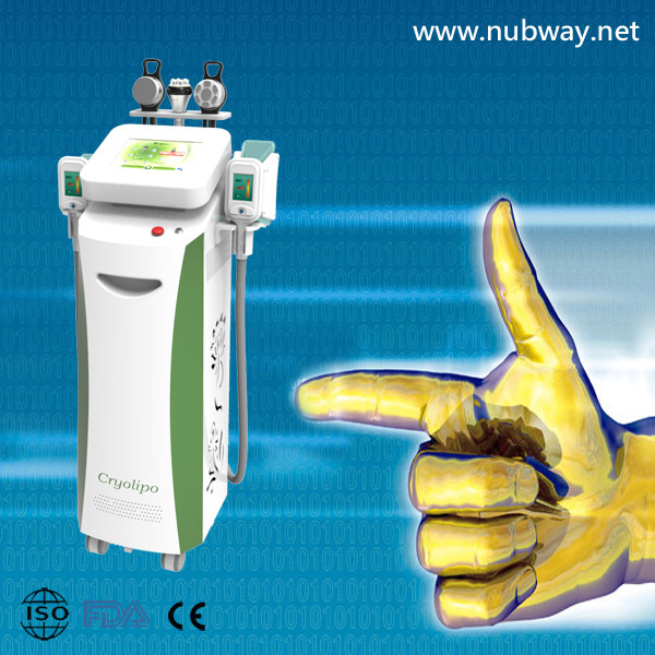 Buy Vertical amazing result 4 handles cryolipolysis slimming machine to losing weight at wholesale prices