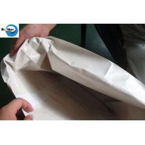 Quality 25kg 50kg Logo Printing 2 Ply Kraft Paper Laminated PP Woven Valve Cement Bag for sale