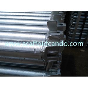 1800mm, 1500mm,1200mm Q235 hot dipped galvanized Ringlock scaffold ledger