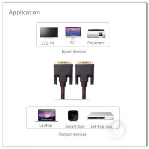 QS6008，DVI-D to DVI-D Cable