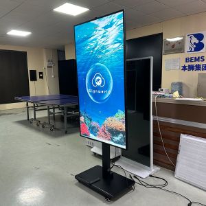 Indoor High Brightness Window Advertising Display Screen Digital Signage