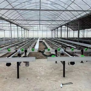 Growing System Rolling Greenhouse Tables Adjustable Shuttle Bench System
