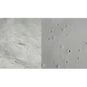 Common Issues in Waterproof Coating Application