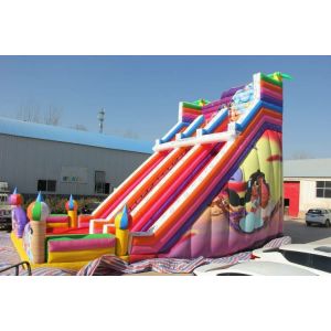 Waterproof Large Inflatable Slide Colorful Aladdin Inflatable Double Lane Slide