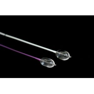 Biological Persistence Kyphoplasty Balloon Catheter For Dilating Vertebral Body