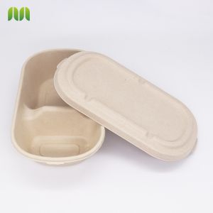 Biodegradable Food Container eco-friendly box with bagass lid
