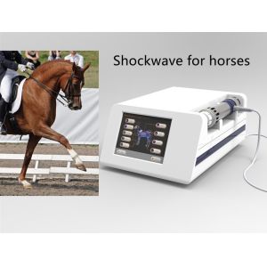 China 16Hz Veterinary Laser Shockwave Therapy Machine on sale