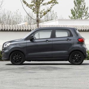 China Leap Motor T03 100 Km/H Max Speed Mini Electric Car with 4 Seats 's Best B2B Choice on sale