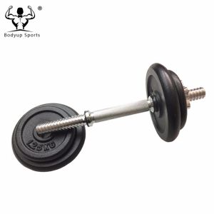 Adjustable Cast Iron Weight Disc Dumbbell Spinlock Set