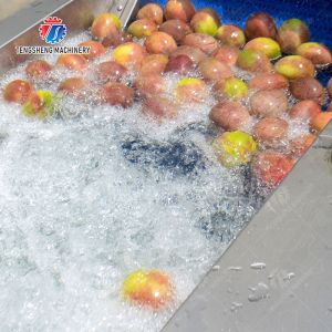 Vegetables bubble washing machine Wash Washer Washing Cleaning processing