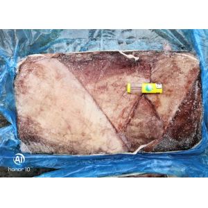 Giant Sea Squid Wing Cartilage Off Dosidicus Gigas Bqf Size 500-1000g