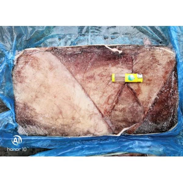 Giant Sea Squid Wing Cartilage Off Dosidicus Gigas Bqf Size 500-1000g