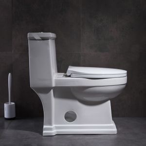 1.28gpf 4.8lpf Dual Flush single piece toilet bidet