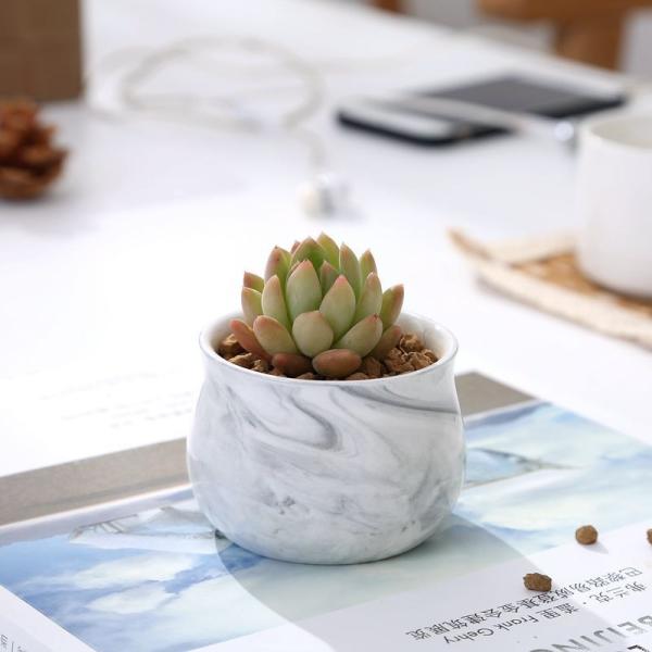 Stylish and Durable Ceramic Nordic Flower Pots for Indoor Plant Lovers