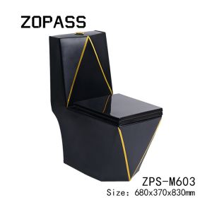 One Piece Washdown Sanitary Ware Toilet Black Gold Graphic Design