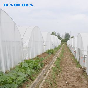 Clear Plastic Film Polyethylene Steel Frame Greenhouse With Irrgation System