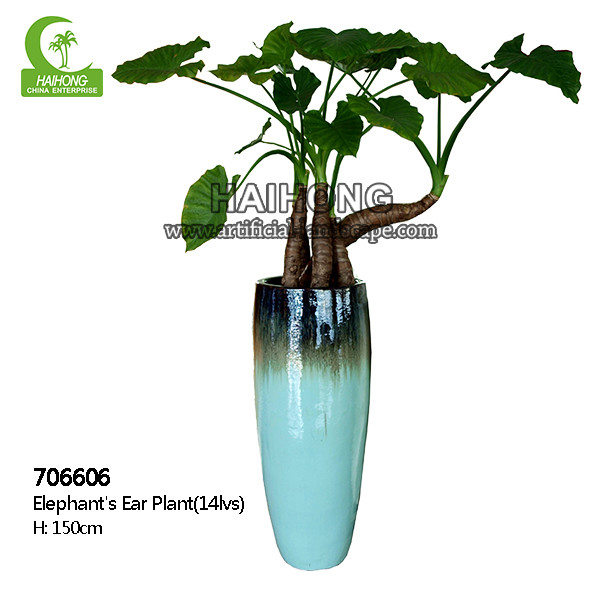Buy High Simulation Natural Elephant's Ear Plant With Beautiful Pots at wholesale prices